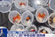 浙江@铲屎官们 养“异宠”或危害国家安全 这些行为违法了