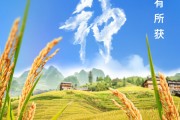 浙江芒种节气小知识来了 夏种作物都有什么？