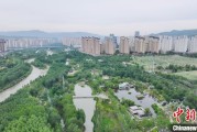 浙江西宁市举办六五环境日主题宣传活动